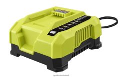 RYOBI 40-V-Schnellladegerät Batterien und Ladegeräte 6V8HV6702