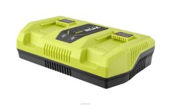 RYOBI 40-V-Schnellladegerät mit zwei Anschlüssen Batterien und Ladegeräte 6V8HV6697